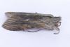 Cucullia chamomillae